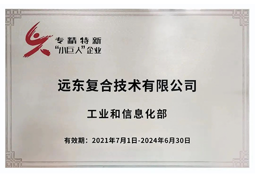 Specialized, refined, distinctive and innovative small and medium-sized enterprises