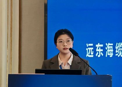 远东海缆受邀出席2025海上风电产业链发展大会暨第六届海上风电运...
